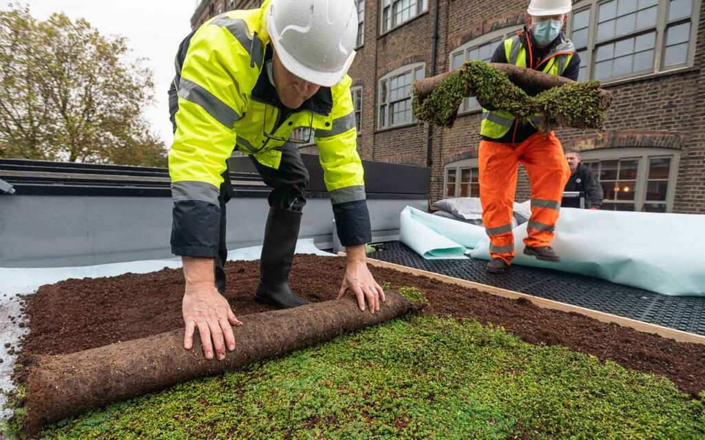 Cubiertas de aljibe para aprovechar el agua de lluvia y mejorar la eficiencia de edificios y ciudades