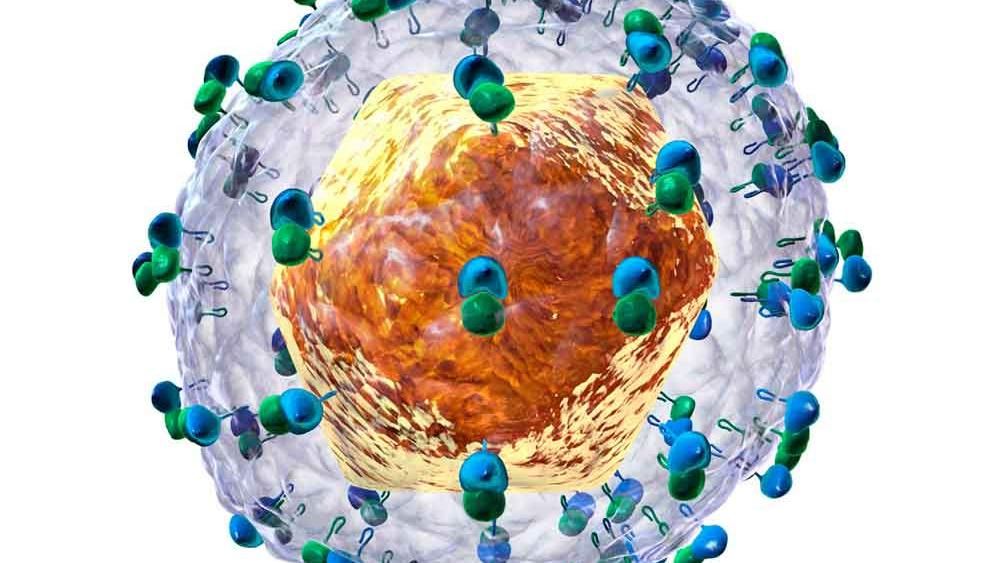 Desarrollan novedosas moléculas inhibidoras del virus de la hepatitis C mediante evolución in vitro