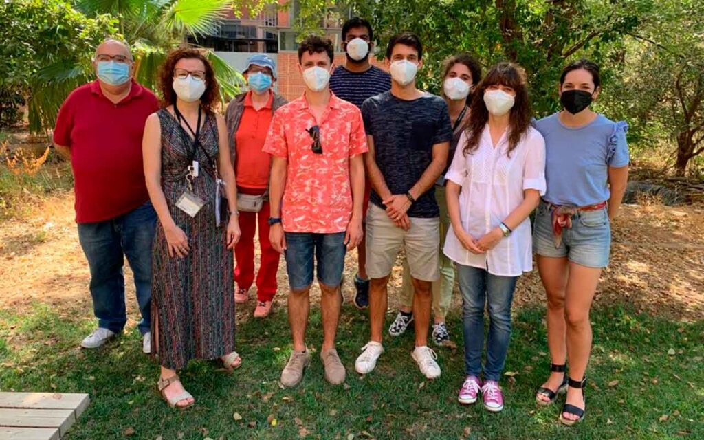 Un estudio revela el papel decisivo de la enzima PDK1 en la leucemia mieloide aguda  