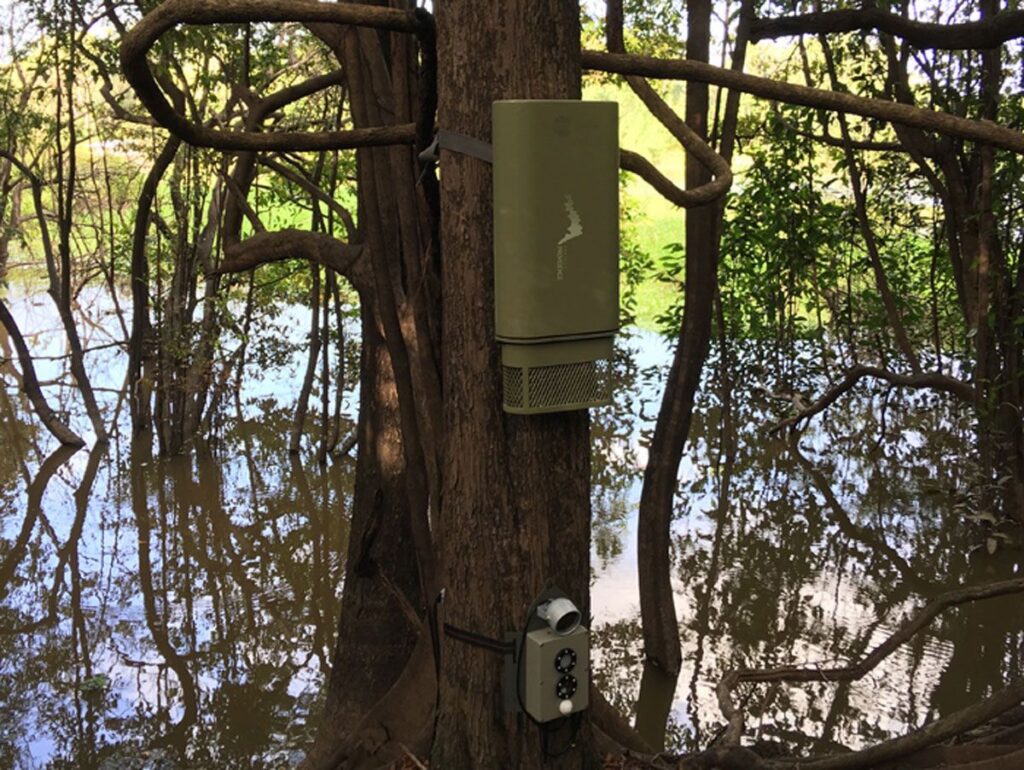 Una reserva de la Amazonia central, en Brasil, primera del planeta monitorizada íntegramente en tiempo real, por el Instituto Mamirauá y la UPC