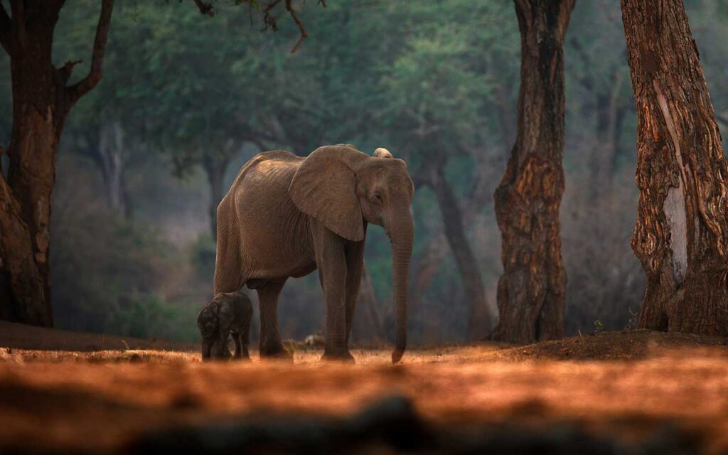 First national tourism satellite account launched in Zimbabwe