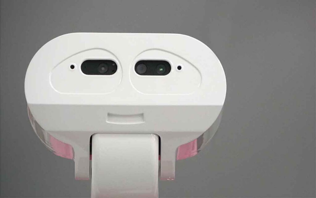 Mi amigo el robot con interfaces