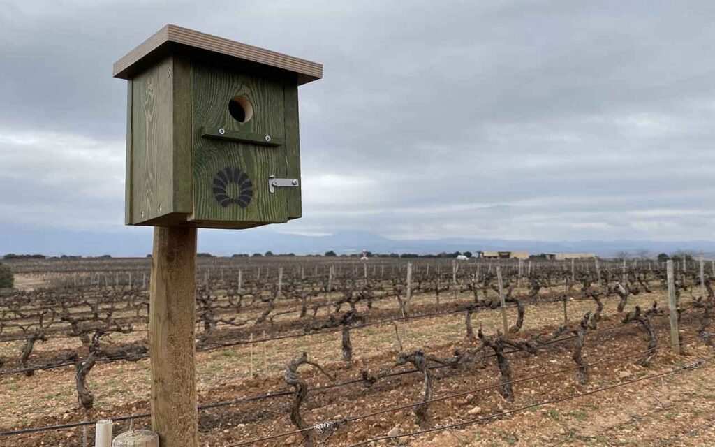 PRW Spain instala 200 cajas nido en el Monte Ulía de San Sebastián y en sus viñedos de Rioja y Ribera del Duero