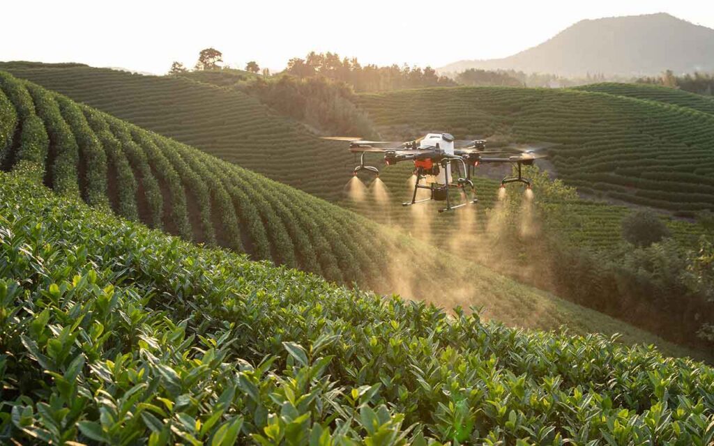 AXA, Unilever y Tikehau Capital lanzarán un fondo de impacto dedicado a acelerar la transición a la agricultura regenerativa