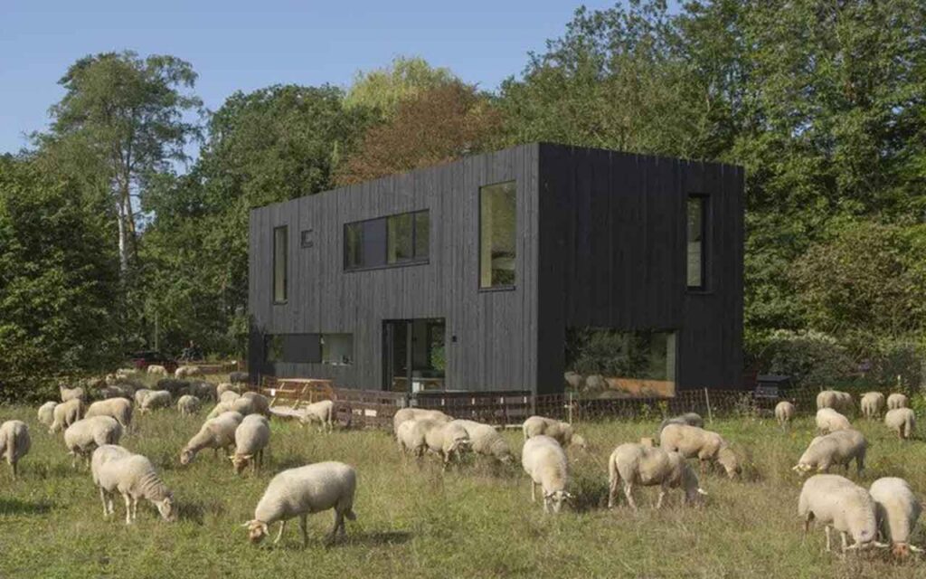 Architect's prefabricated home uses fungi to protect its exterior