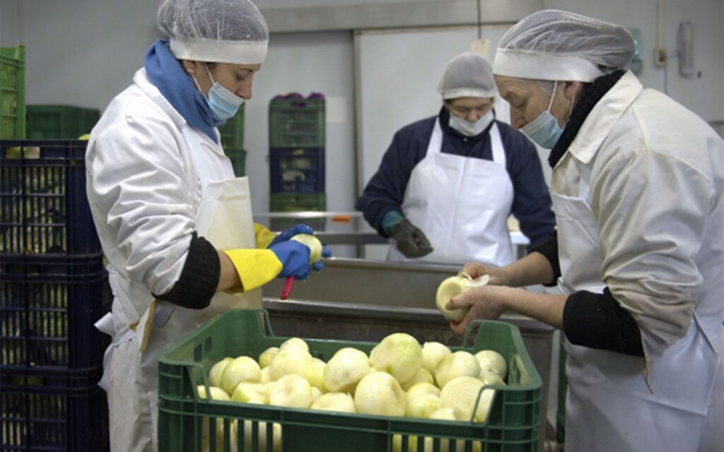 Montevideo apoyará a emprendimientos rurales que producen alimentos