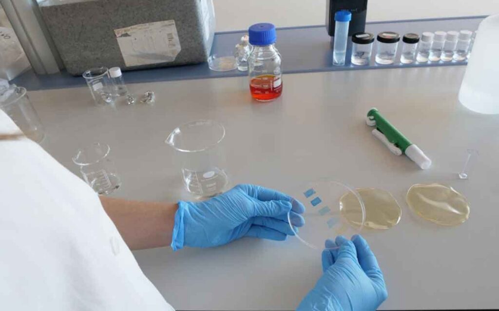 La start-up Oscillum del PCUMH comienza a testear en frutas su tecnología capaz de detectar el estado de descomposición de un alimento