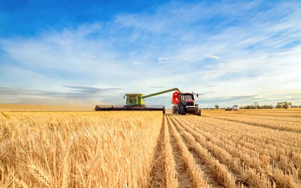 El biorefino de cultivos de la UE produce más alimento que combustible