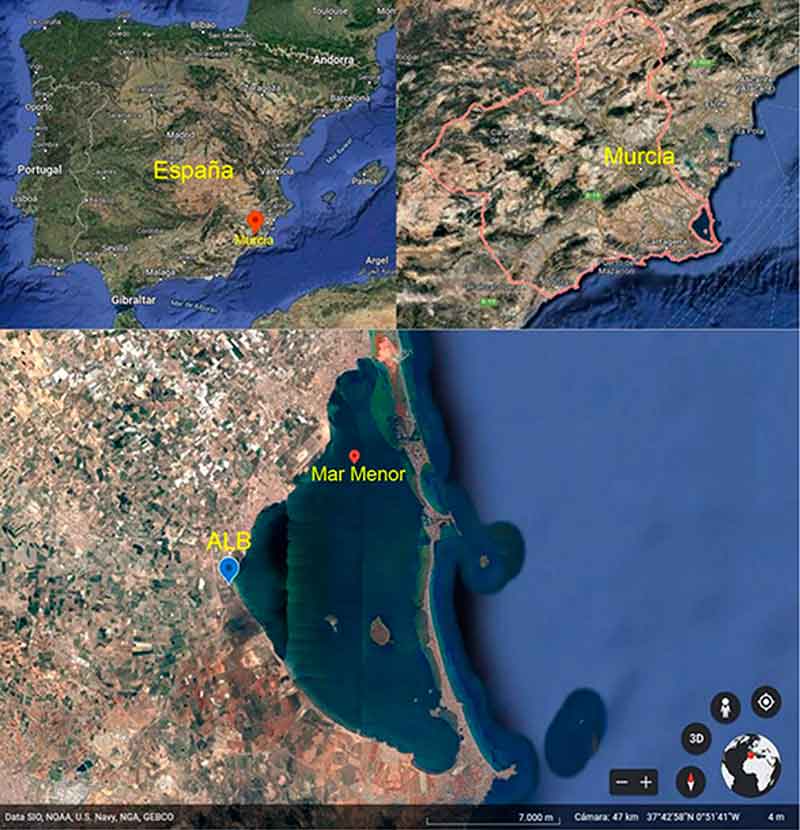 Redes neuronales para el control medioambiental del Mar Menor