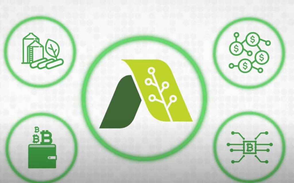Agrotoken amplía su alianza con Visa incorporando a Pomelo y Algorand para el desarrollo de una tarjeta destinada al campo