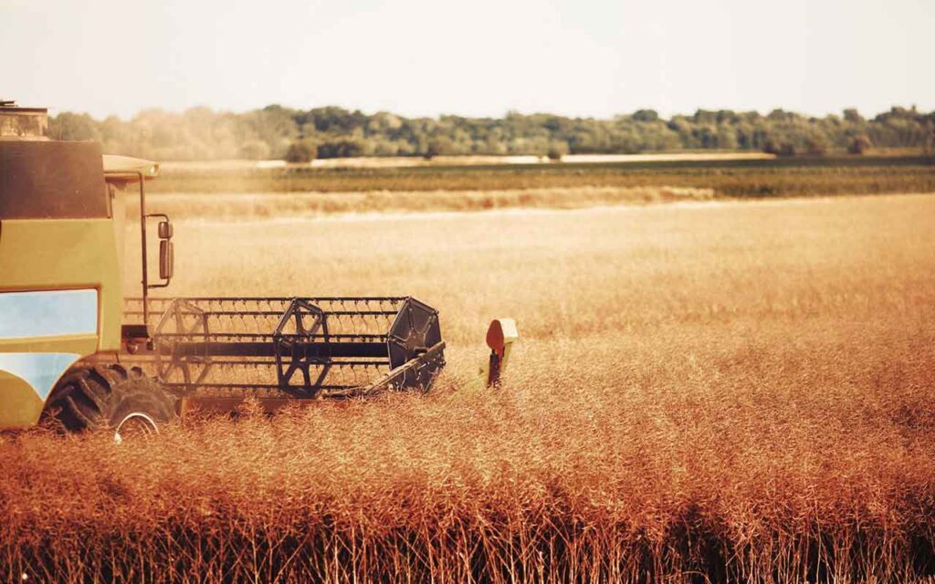 Optimismo entre los fondos centrados en el sector agrícola pese al deterioro de las condiciones del mercado