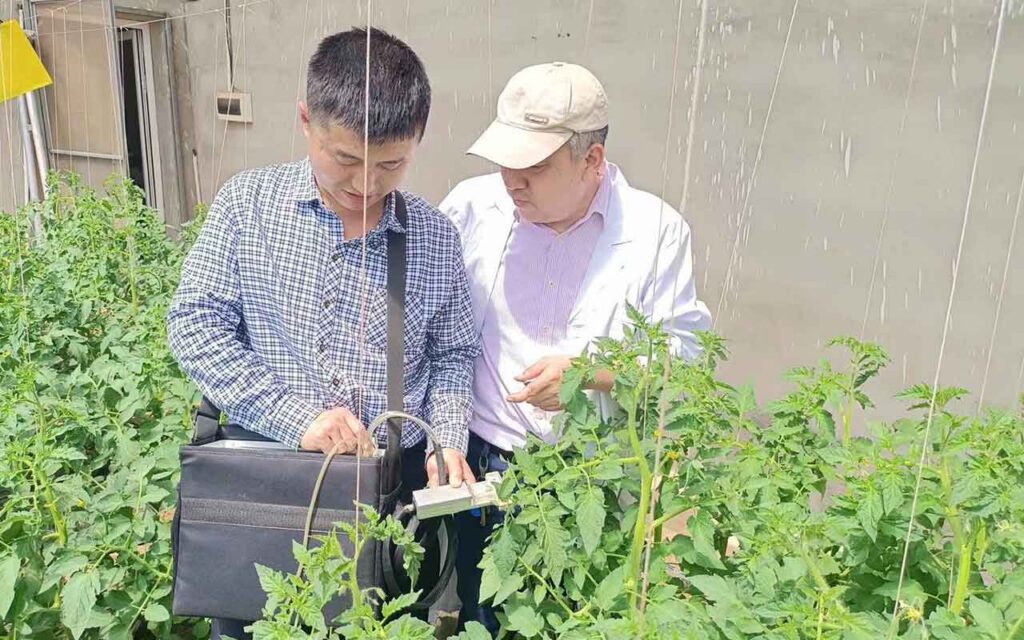 China's crops have found an ally of natural solutions in Kimitec's MAAVi Innovation Center