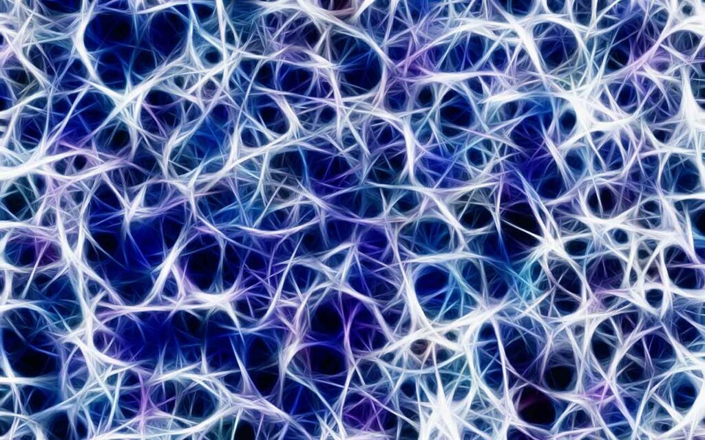 Identifican nuevas proteínas reguladoras implicadas en la formación de los circuitos neuronales