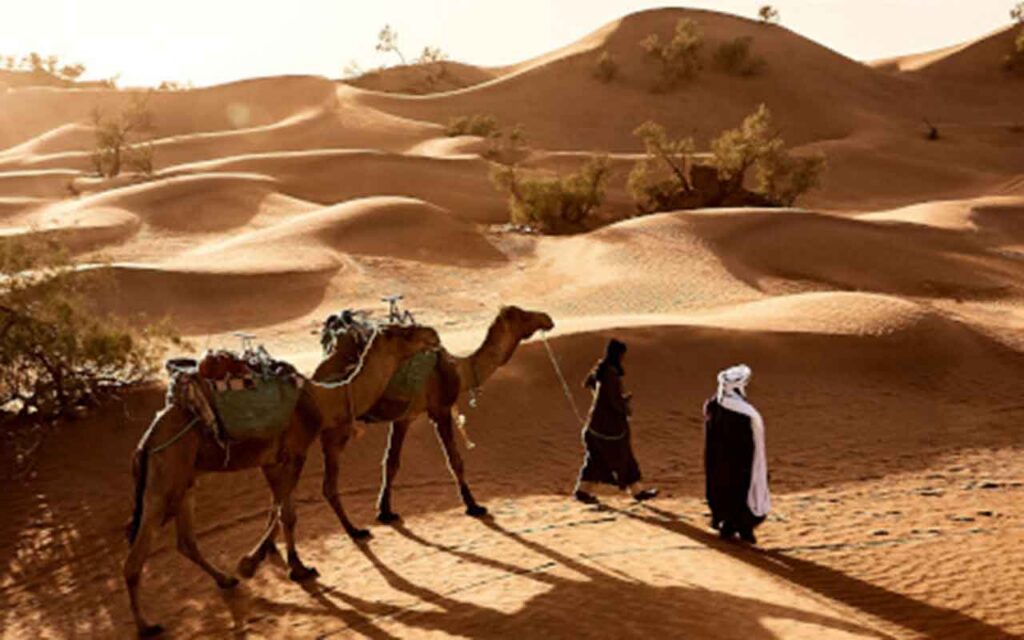 EBRD promotes green investments in Egypt’s small businesses.