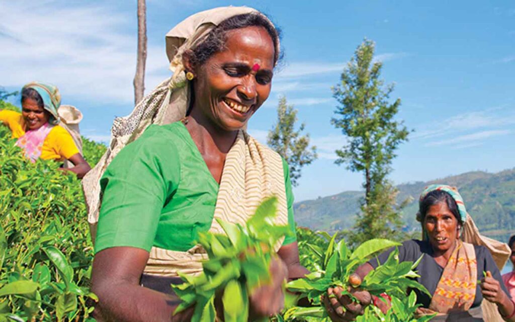 Addressing the Mobile ‘Usage Gap’ is Key to Achieving Sustainable Development Goals