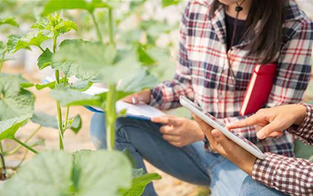 Los agricultores y ganaderos que suscriban el seguro agrario se beneficiarán del incremento de la subvención estatal de la prima
