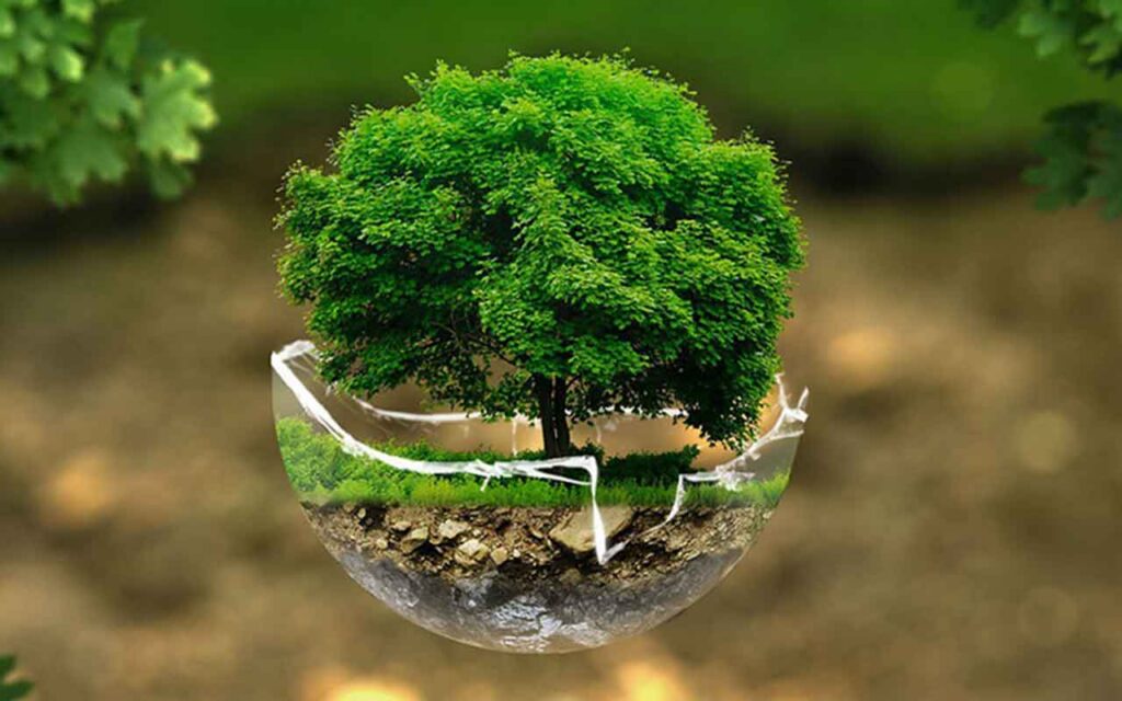 Comillas inaugura la nueva Unidad de Ecología Integral