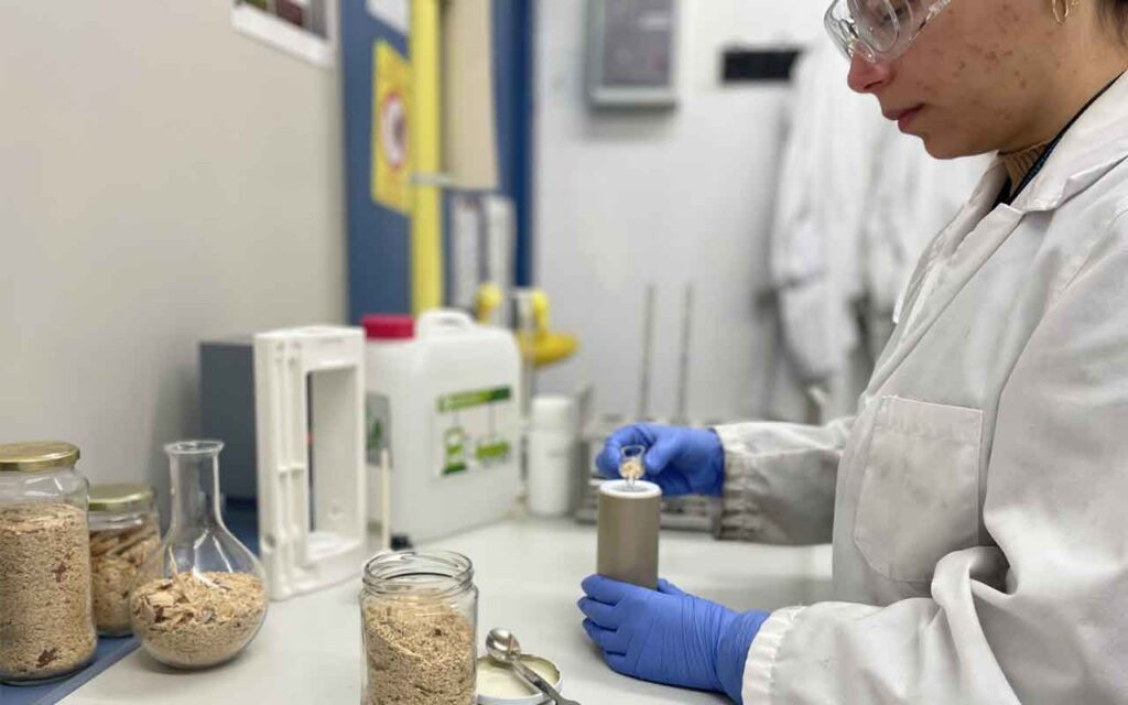 La URV lidera una investigación para producir biocombustibles, fertilizantes y sensores a partir de biomasa