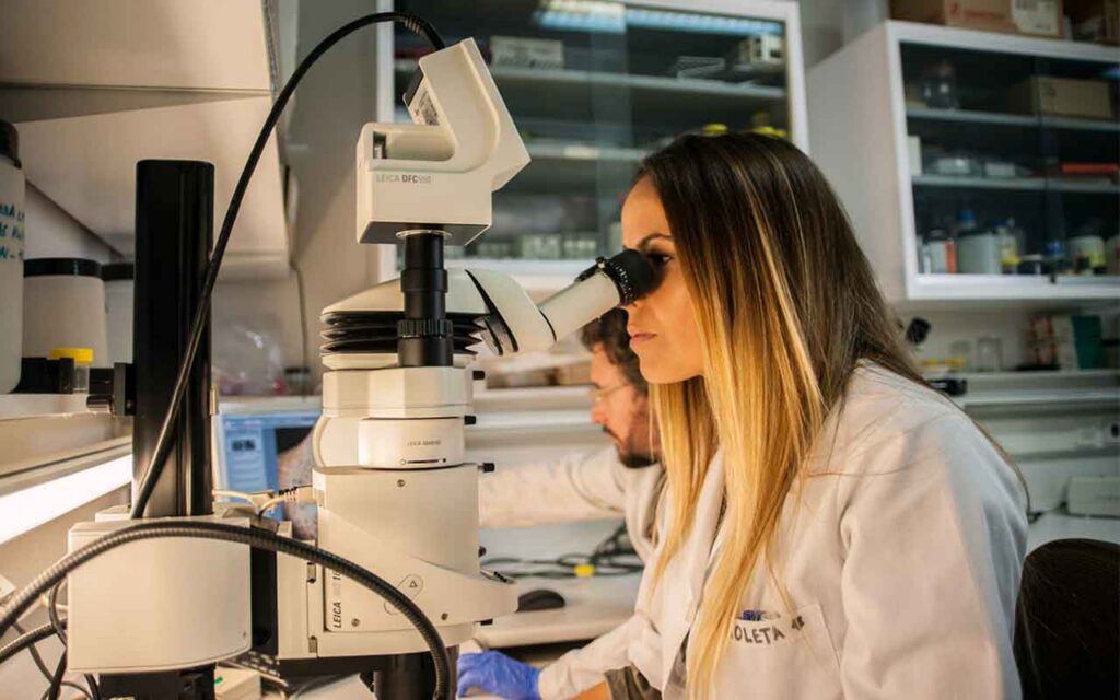 El CSIC presenta más de 30 tecnologías para promover la compra pública de innovación