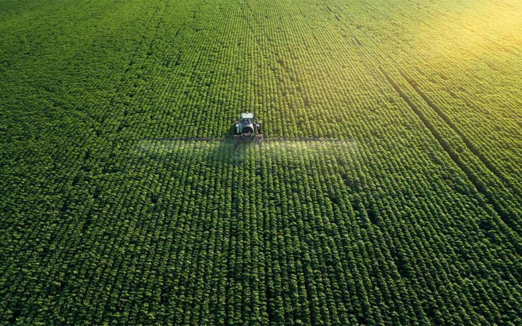Intercropping systems can reduce agriculture’s carbon footprint