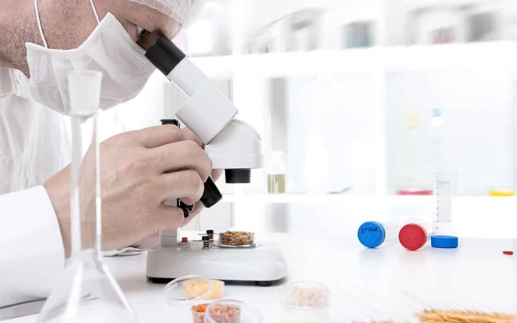 Proyecto para investigar en nuevas fuentes de proteína y su incidencia en el sistema inmune
