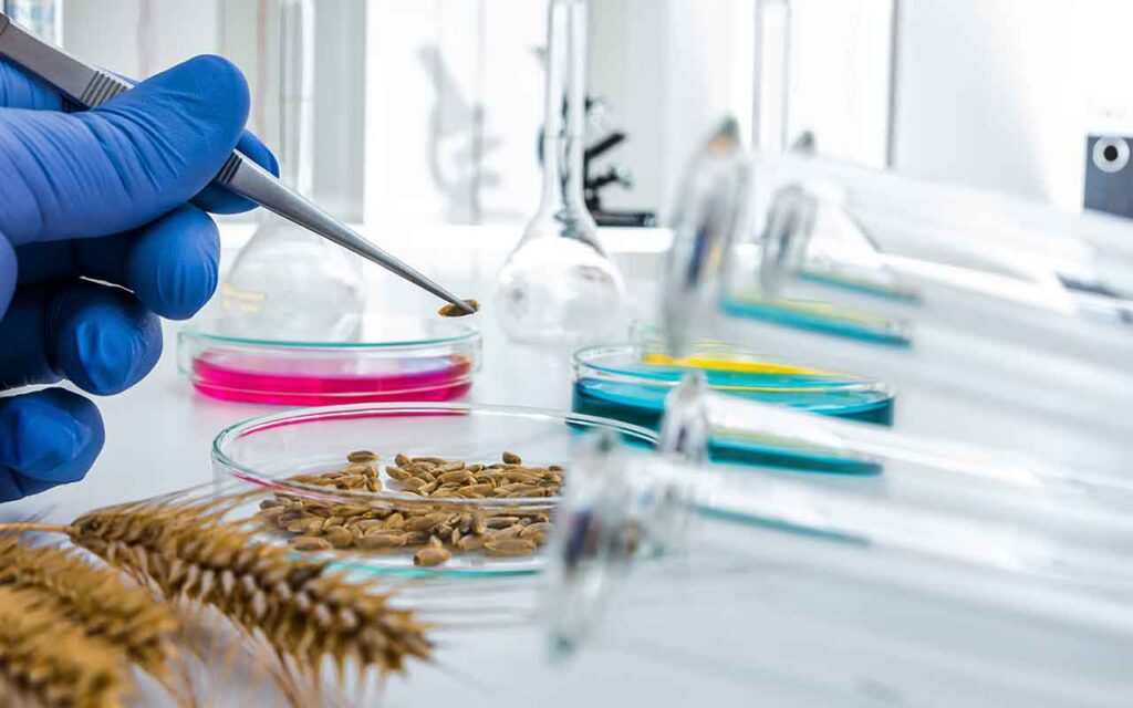 Red TecnomiFood: 3,25 millones de euros en contratos con empresas en tecnologías ómicas, aplicadas a la innovación en alimentos funcionales y nutracéuticos