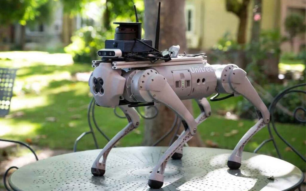 Los secretos de Tefi, el perro robot para invidentes