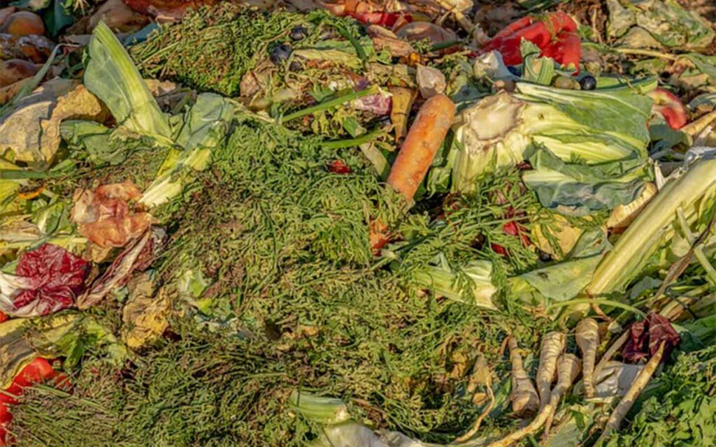 Reciclar subproductos agroindustriales: una ayuda para la ganadería sostenible