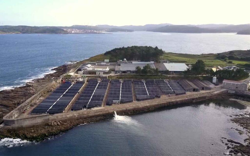 Telefónica Tech digitaliza las granjas acuícolas de Stolt Sea Farm con Inteligencia Artificial