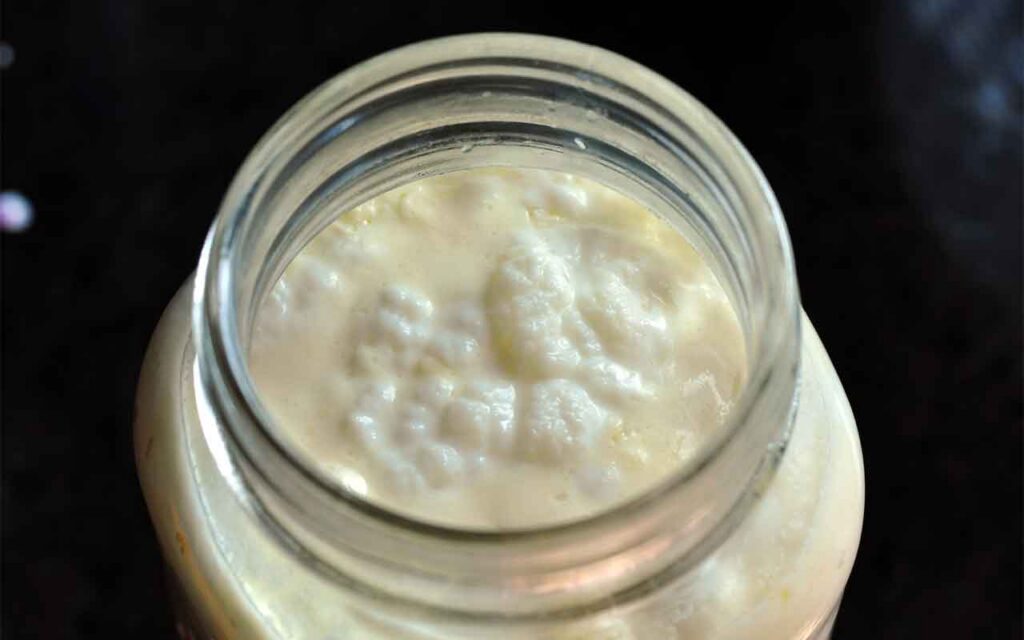 Un proyecto europeo busca desarrollar alimentos fermentados más saludables