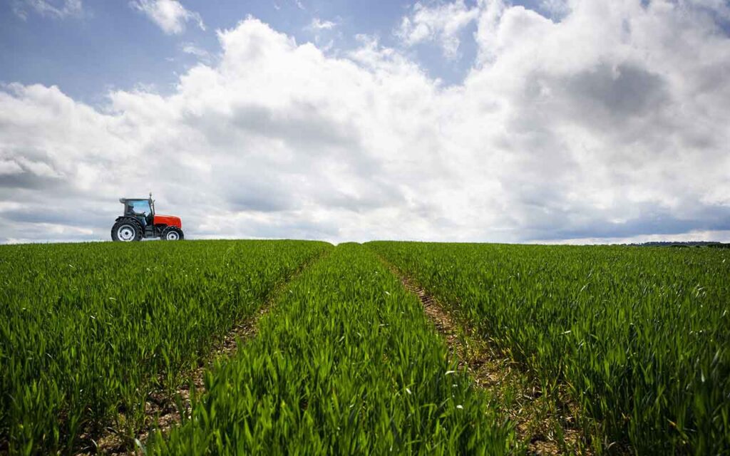Cepsa y CSIC investigarán la plantación de cultivos energéticos en zonas rurales para producir biocombustibles