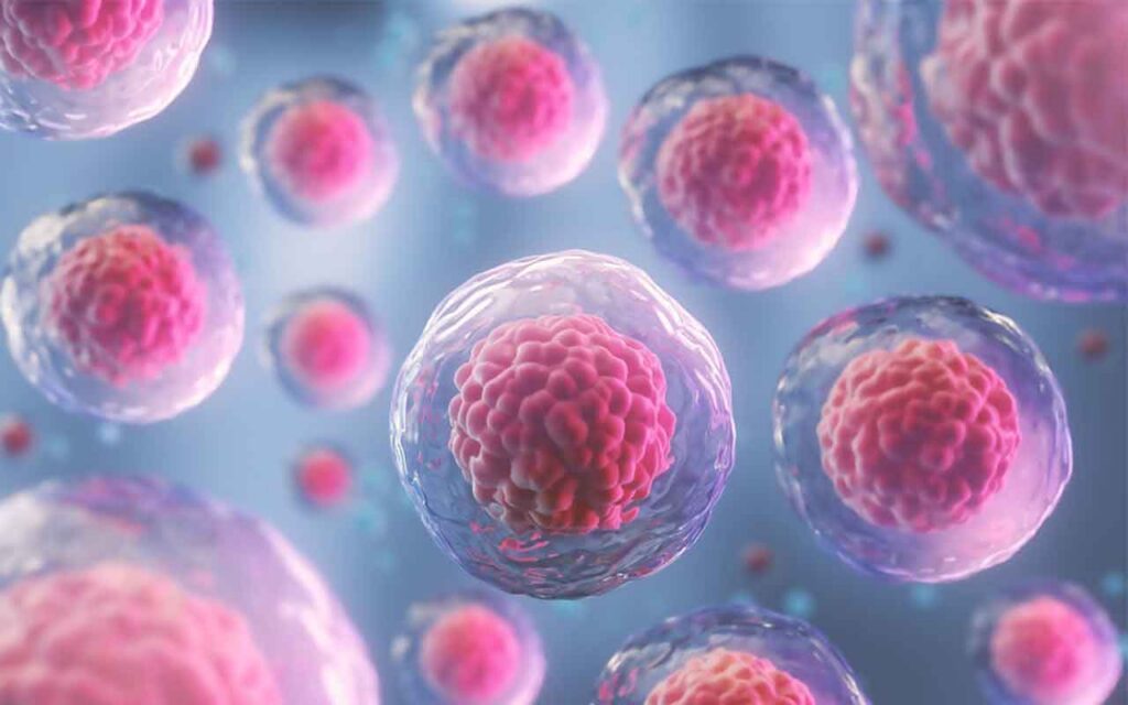 Células madre modificadas genéticamente para impulsar la inmunoterapia contra el cáncer