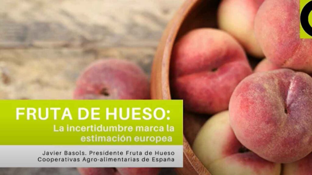 La incertidumbre marca la estimación europea de fruta de hueso