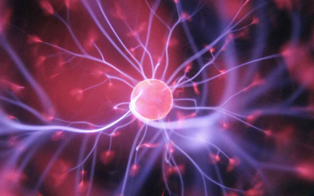 Un estudio pionero sobre cómo la turbulencia facilita el procesamiento de información en el cerebro permitiría crear biomarcadores de enfermedades neurológicas