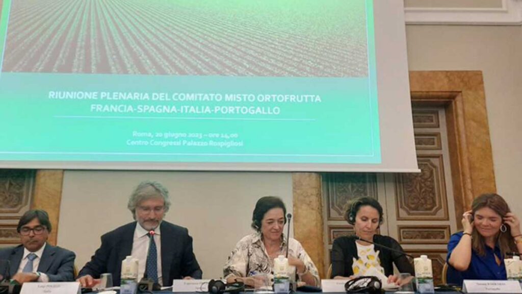 Cooperativas Agro-alimentarias de España pide soluciones fitosanitarias y reciprocidad para las importaciones de frutas y hortalizas