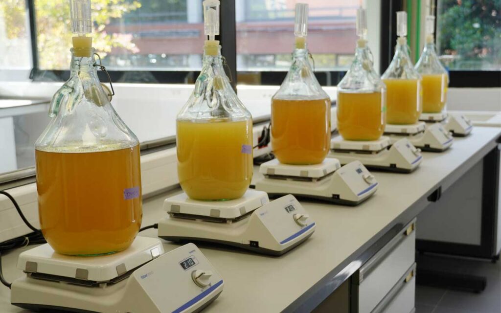 Una bodega experimental avanza la aplicación de “gemelos digitales” en el sector del vino