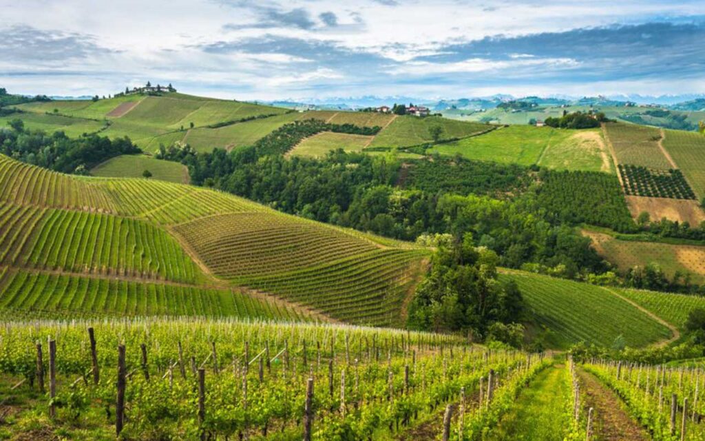 Italian winemaking town sets example for EU rural revival