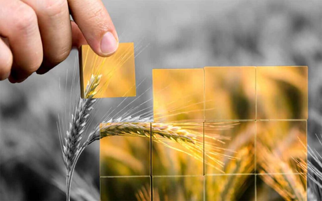 Producción sostenible de alimentos y piensos, con la ayuda de microbios