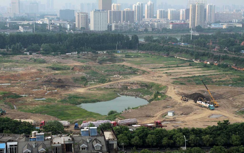 In battle against soil pollution, new ally emerges