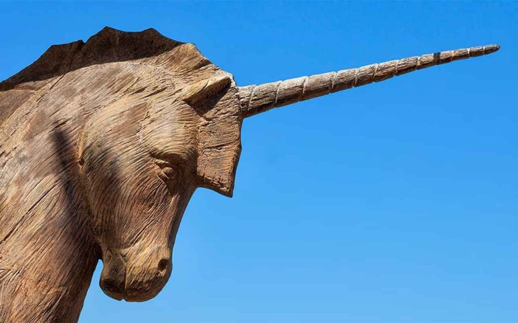 ¿Qué tienen en común los unicornios latinoamericanos? Estas son sus características