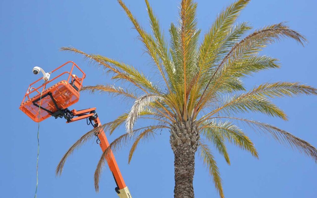 Playas inteligentes: el control virtual y discreto del aforo