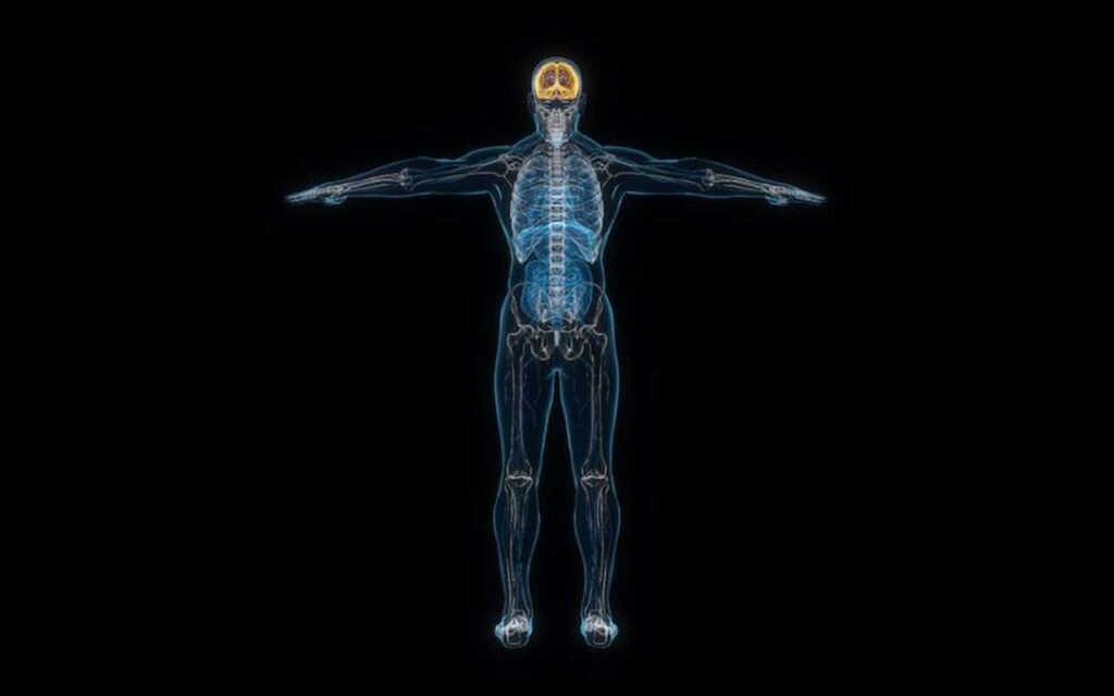 Desarrollan un método mediante deep learning para comprender cómo afecta el dolor crónico al cuerpo de cada paciente