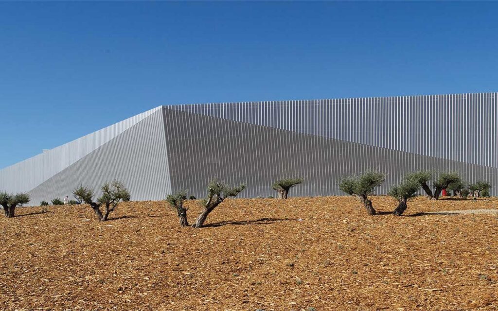 Una innovación en España permite un ahorro significativo en el consumo de agua en viñedos
