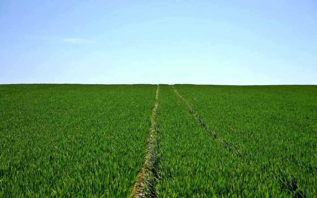 Desarrollan un dispositivo para medir la evaporación de agua en cultivos