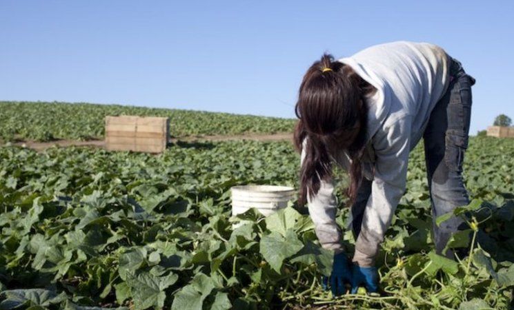 El relevo generacional en las explotaciones agrarias de la UE del futuro