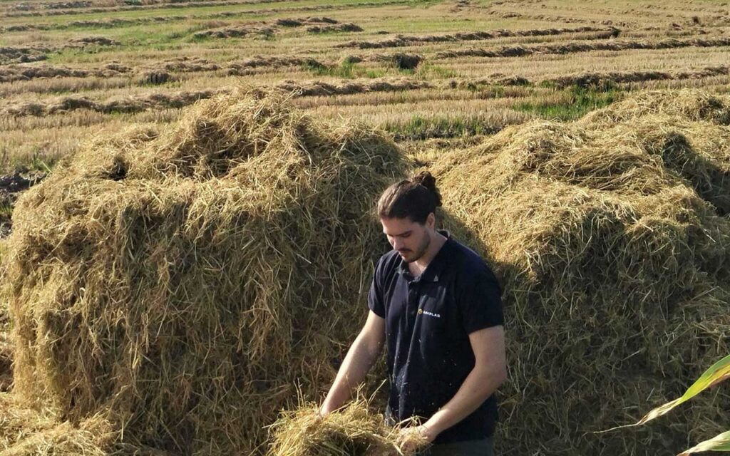 AIMPLAS dará una segunda vida a residuos vegetales en forma de adhesivos y envases a través de técnicas mecanoquímicas limpias sin disolventes