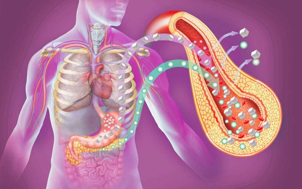 Los hospitalizados con Diabetes Mellitus tipo 2 presentan un grado de desnutrición similar al resto de ingresados pero más sarcopenia