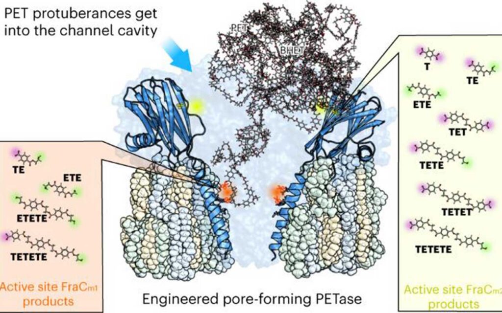 Una nueva aproximación a la degradación de nanoplásticos