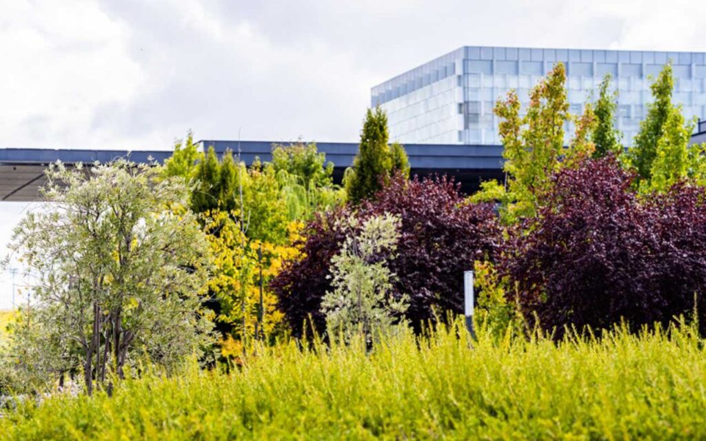 Telefónica and the UNWTO promote digital, sustainable and inclusive tourism
