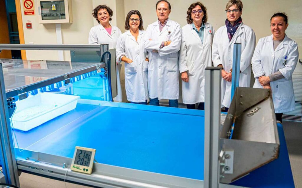 Desarrollada una tecnología capaz de obtener setas enriquecidas con radiación UV-B para paliar el déficit de vitamina D